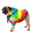 Rainbow Dog Hoodie