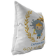 Captain Zeus Pillow