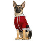 Santa Dog Hoodie